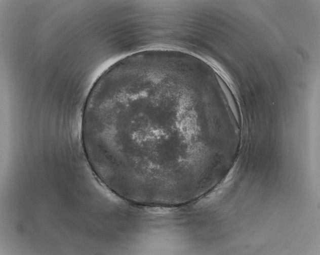 X0000113370862200909291050