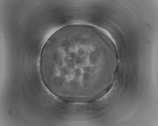 X0000113370863200909291050