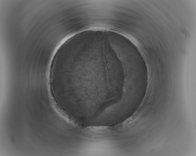 X0000113370864200909291050