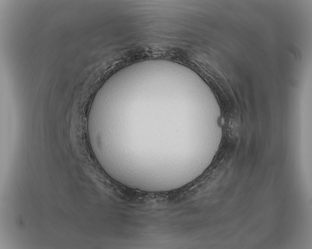 X0000113370865200909291049