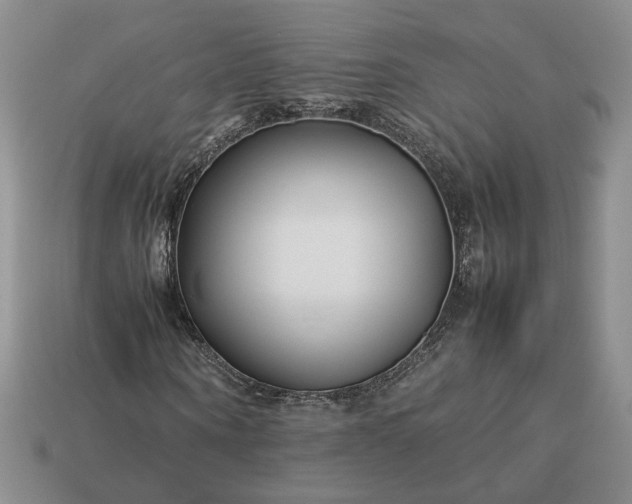 X0000113370866200909291049