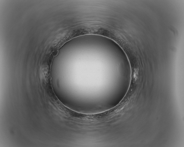 X0000113370867200909291049