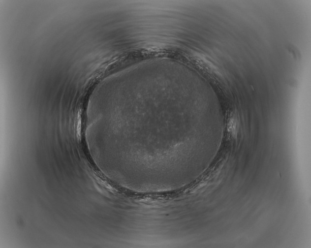 X0000113370868200909291049