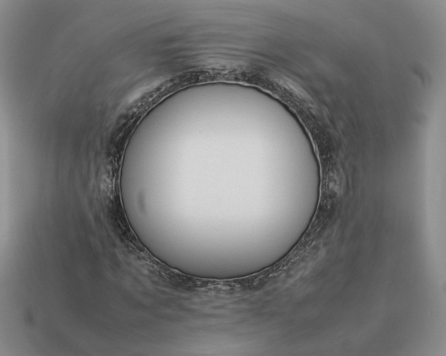 X0000113370869200909291049