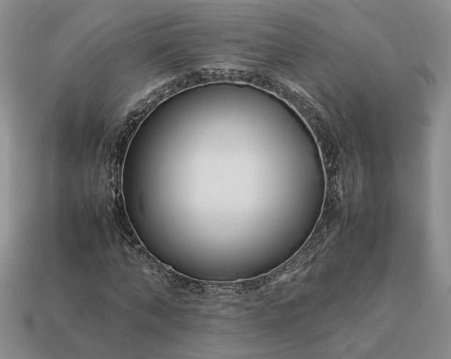 X0000113370870200909291049