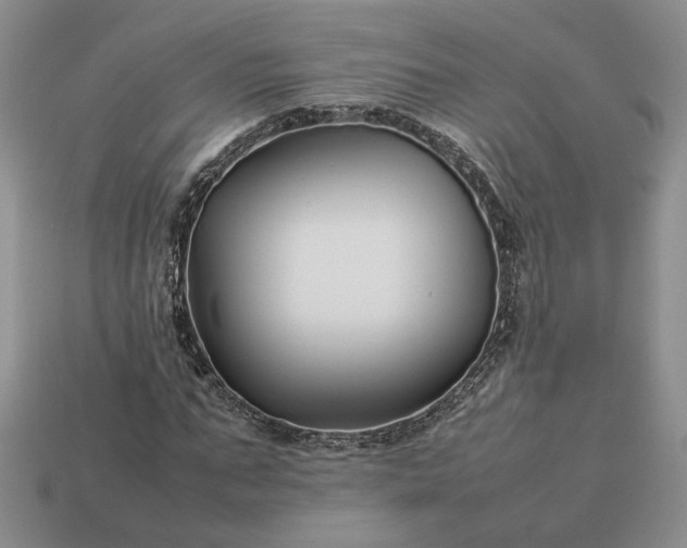 X0000113370871200909291049