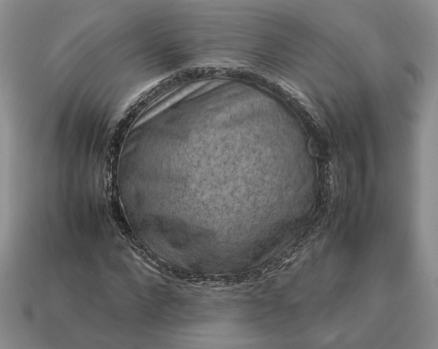 X0000113370872200909291049