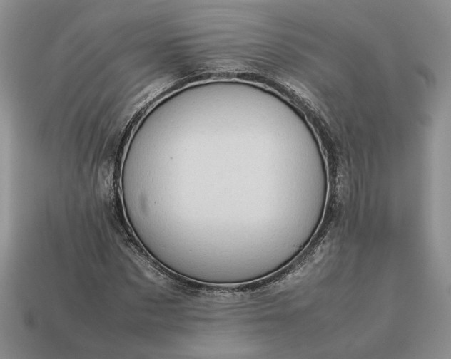 X0000113370873200909291049