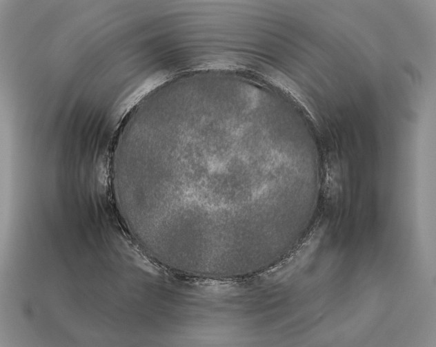 X0000113370874200909291049