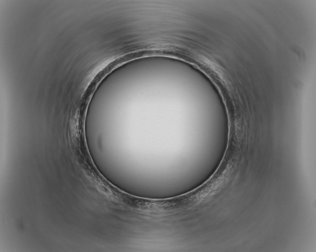 X0000113370875200909291049