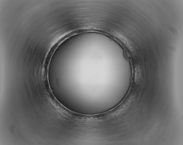 X0000113370876200909291049