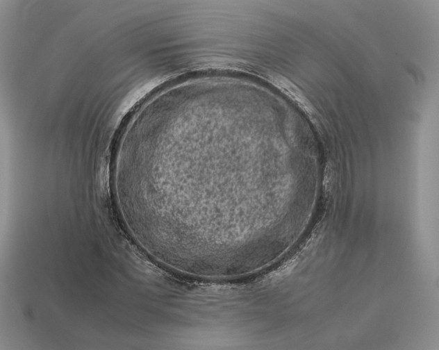 X0000113370877200909291049