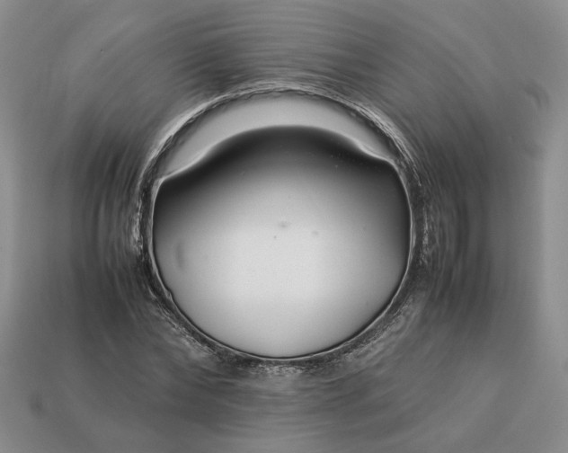 X0000113370878200909291049