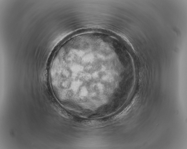 X0000113370879200909291049