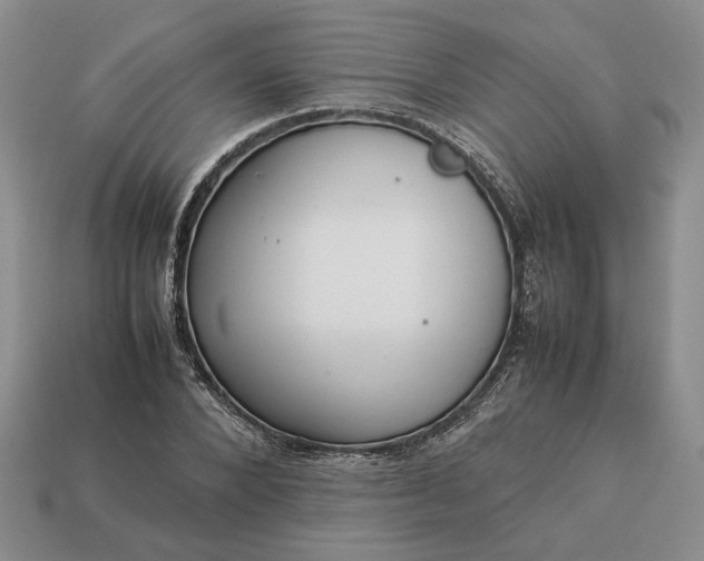 X0000113370880200909291049