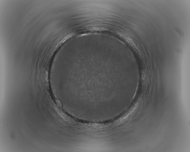 X0000113370881200909291049