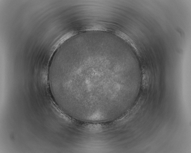 X0000113370882200909291049