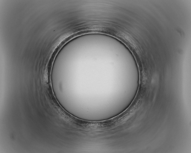 X0000113370883200909291049