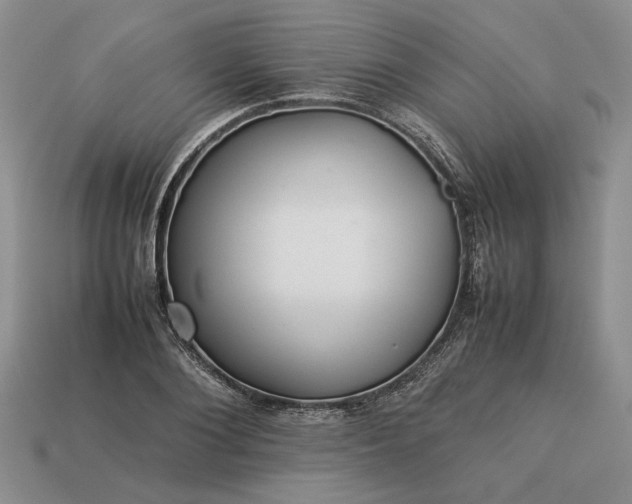 X0000113370884200909291049