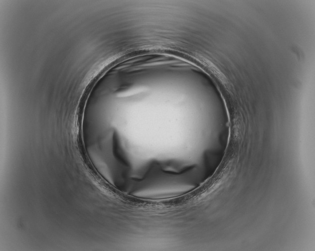 X0000113370885200909291049