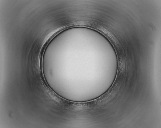 X0000113370886200909291049