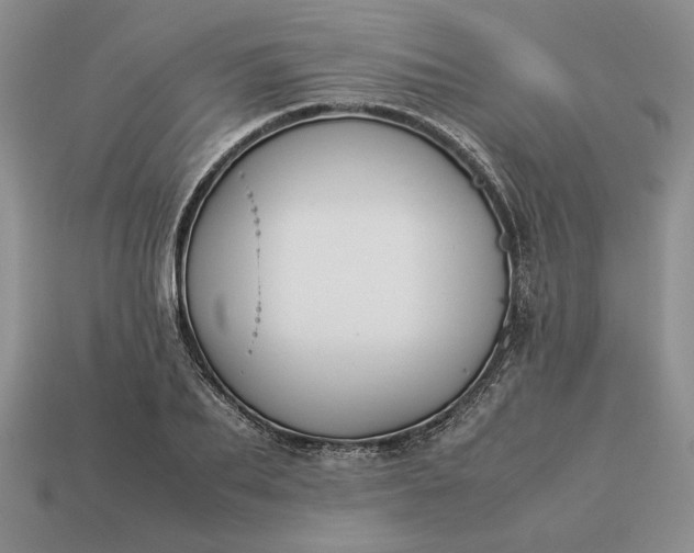 X0000113370887200909291049