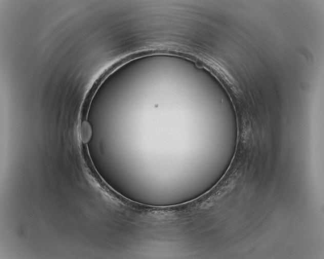 X0000113370888200909291049