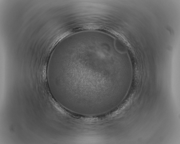 X0000113370889200909291049