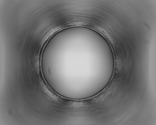 X0000113370890200909291049