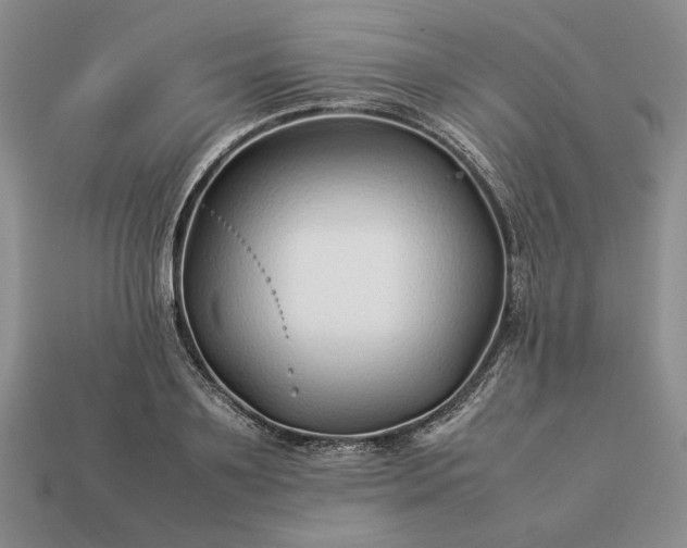 X0000113370891200909291049