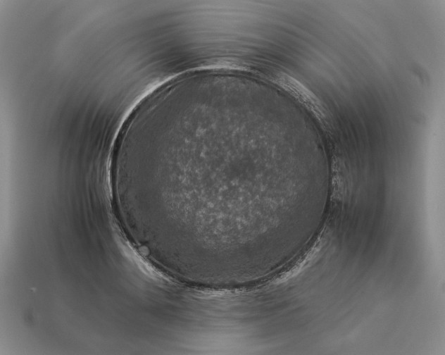 X0000113370892200909291049