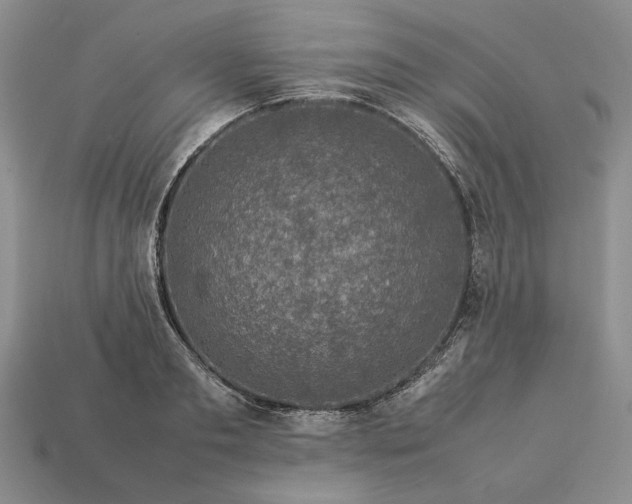 X0000113370893200909291049