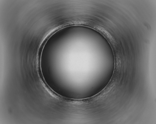 X0000113370894200909291049