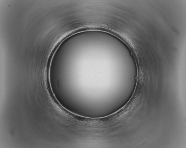 X0000113370895200909291049