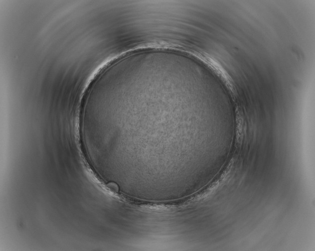 X0000113370896200909291049