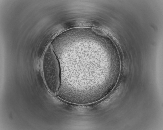 X0000113370897200909291049