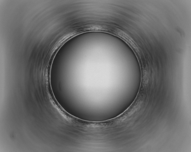 X0000113370898200909291049