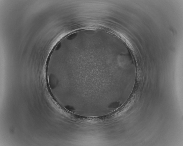 X0000113370899200909291049