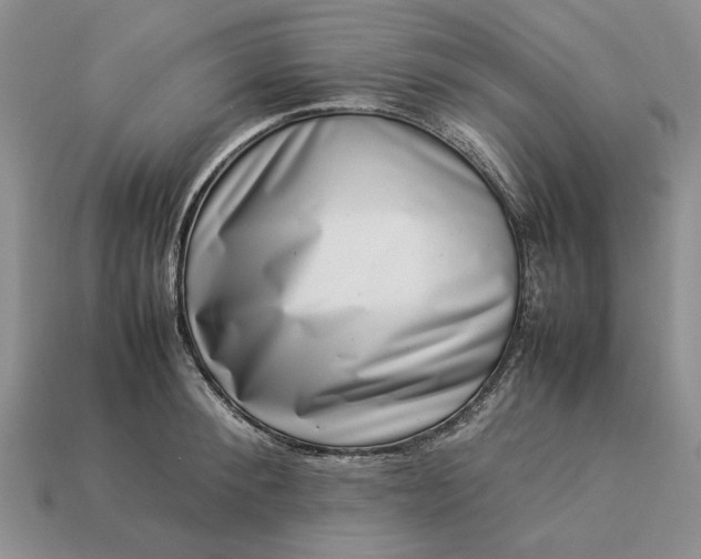 X0000113370900200909291049