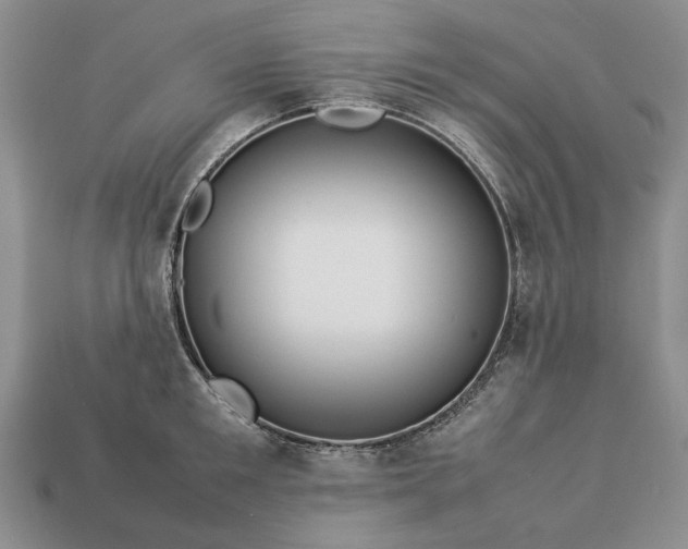 X0000113370901200909291048