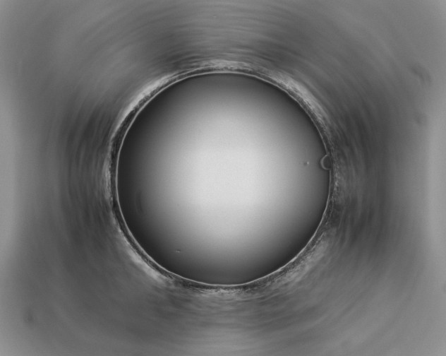 X0000113370902200909291048