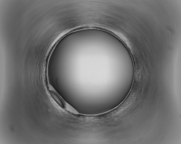 X0000113370903200909291048