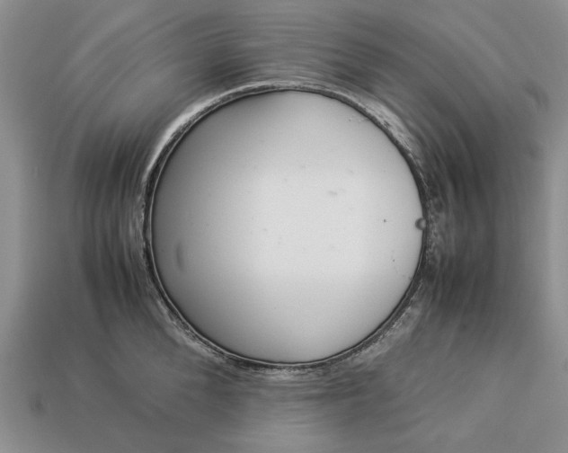 X0000113370904200909291048