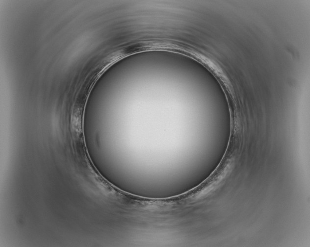 X0000113370905200909291048