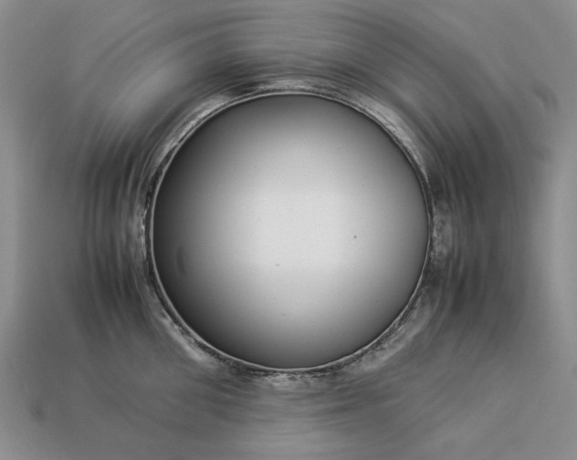 X0000113370906200909291048