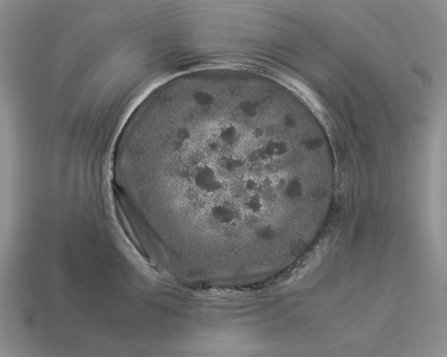 X0000113370907200909291048