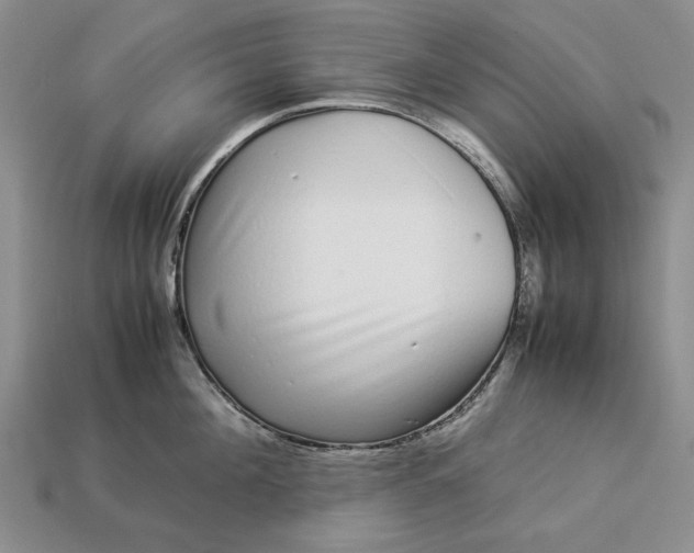 X0000113370908200909291048