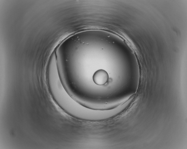 X0000113370909200909291048