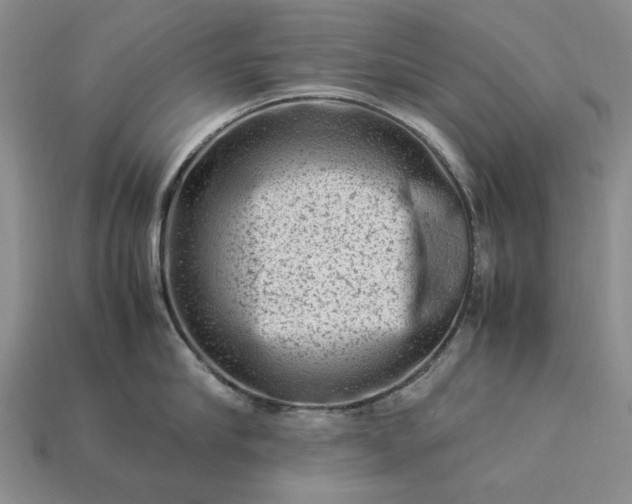 X0000113370910200909291048