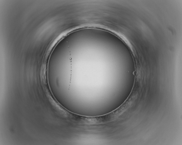 X0000113370911200909291048